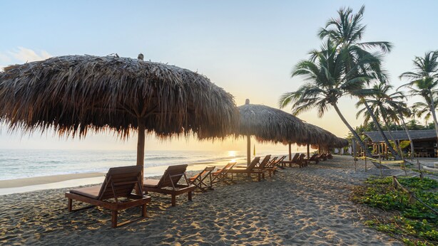 A beach with thatched umbrellas and wooden lounge chairs aligned along the shore.