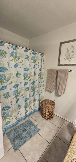 Secador de cabelo, toalhas de banho, sabonete, shampoo