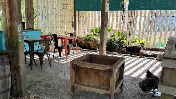 Un espace extérieur aménagé en patio, avec une table et des chaises en bois, un jardinier en bois et une poule qui picore le sol.