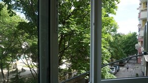 A view from a window overlooking a street with trees, parked cars, and a person walking.