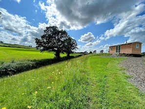 Property grounds - Cosy Luxury Foxglove Hut with Private Fire Bowl (Umberleigh)