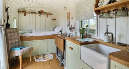 Cosy Luxury Owls Roost Hut with Private Hot Tub