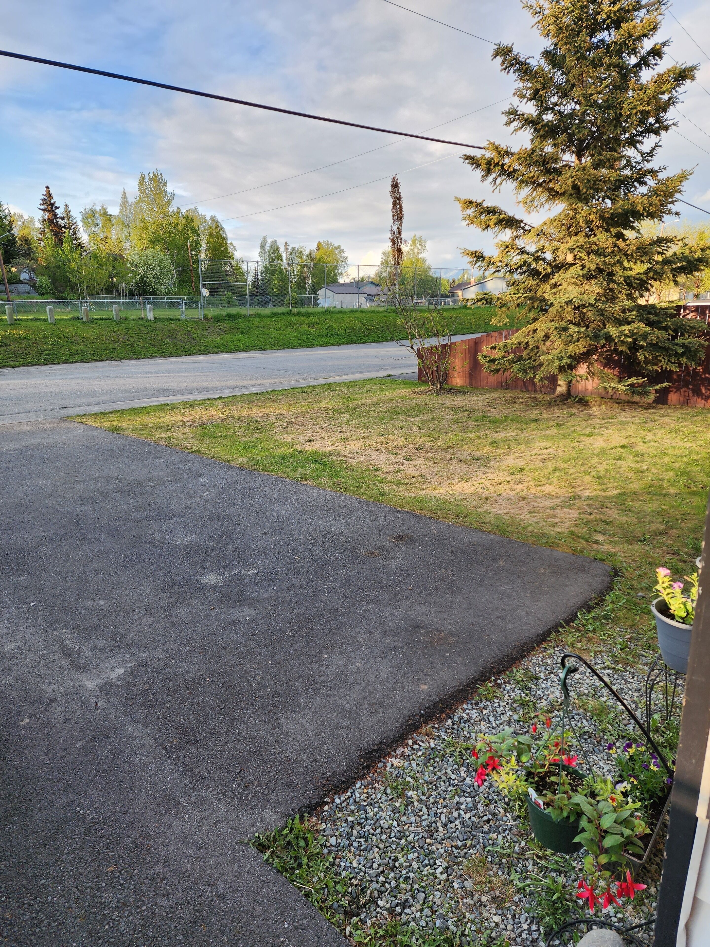 A residential driveway with a paved path leading to a house, surrounded by a grassy area and a large tree.