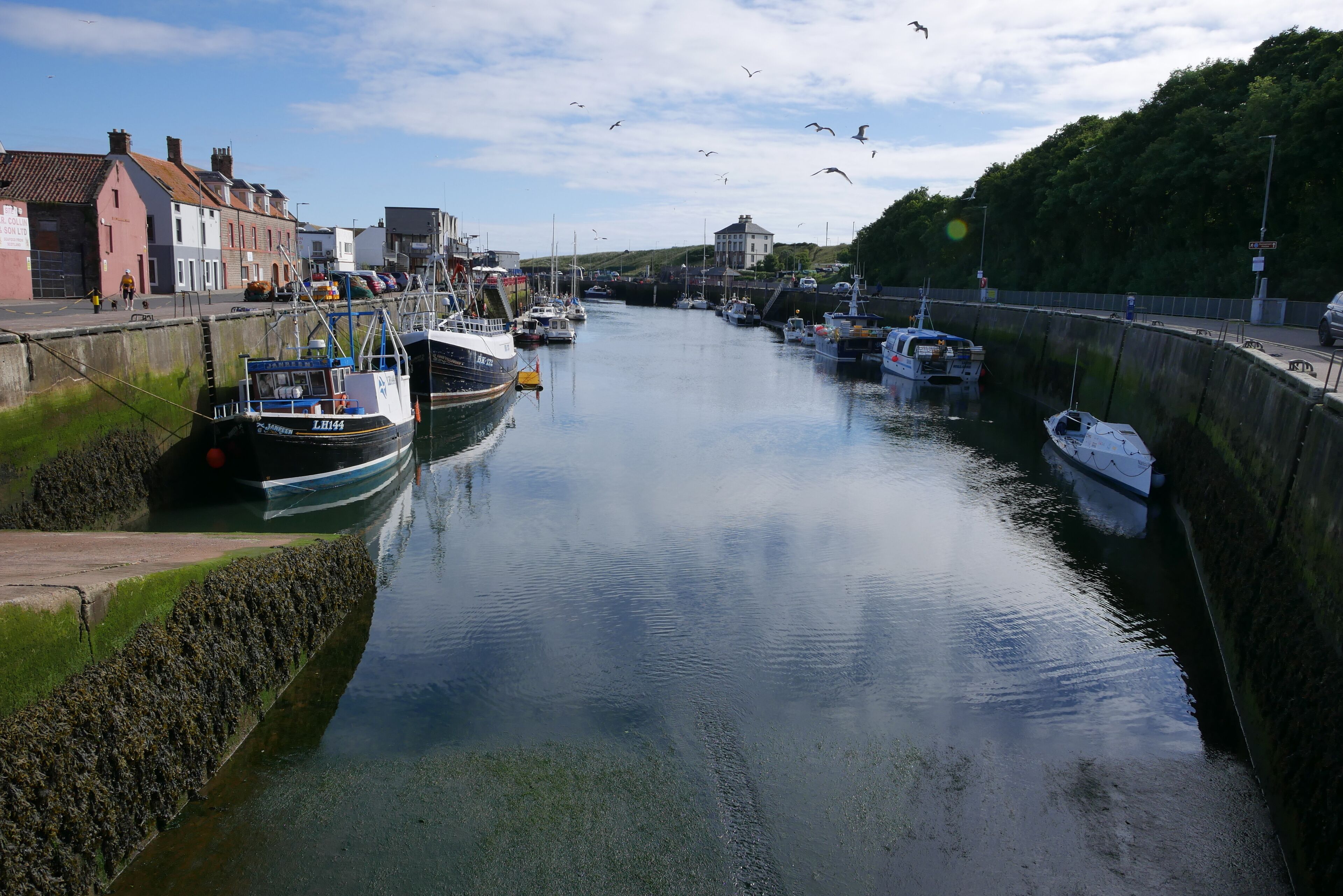 Port de plaisance