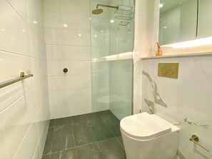 Shower, hair dryer