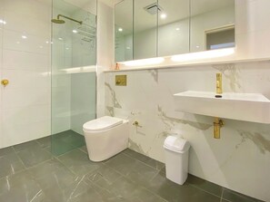 Shower, hair dryer