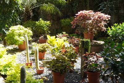 Villa Las Flores