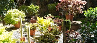 Villa Las Flores