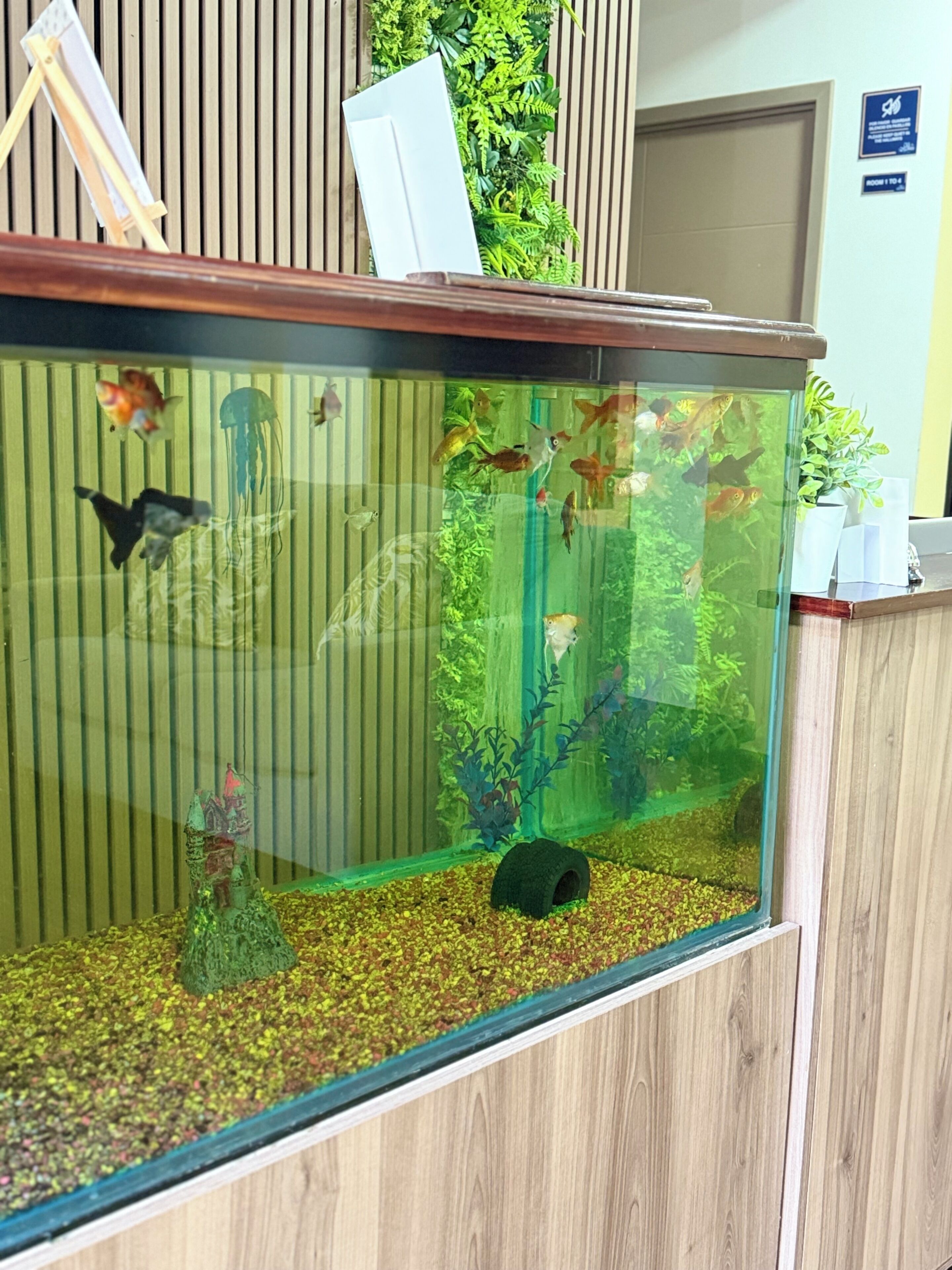 Un aquarium contenant diverses espèces de poissons et des plantes aquatiques, un petit château décoratif et une structure en forme de tunnel au fond.