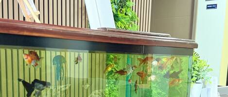 A fish tank with various fish and aquatic plants, a small castle decoration, and a tunnel-like structure at the bottom.