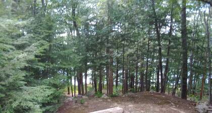 Lovely Waterfront Summer Retreat : Home on Moose Pond in Bridgton