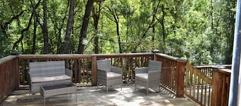 Oasis in Daphne