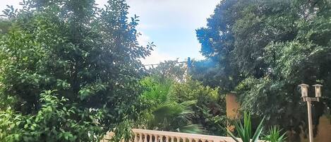 A courtyard with a table and chairs, surrounded by lush greenery and a decorative railing.