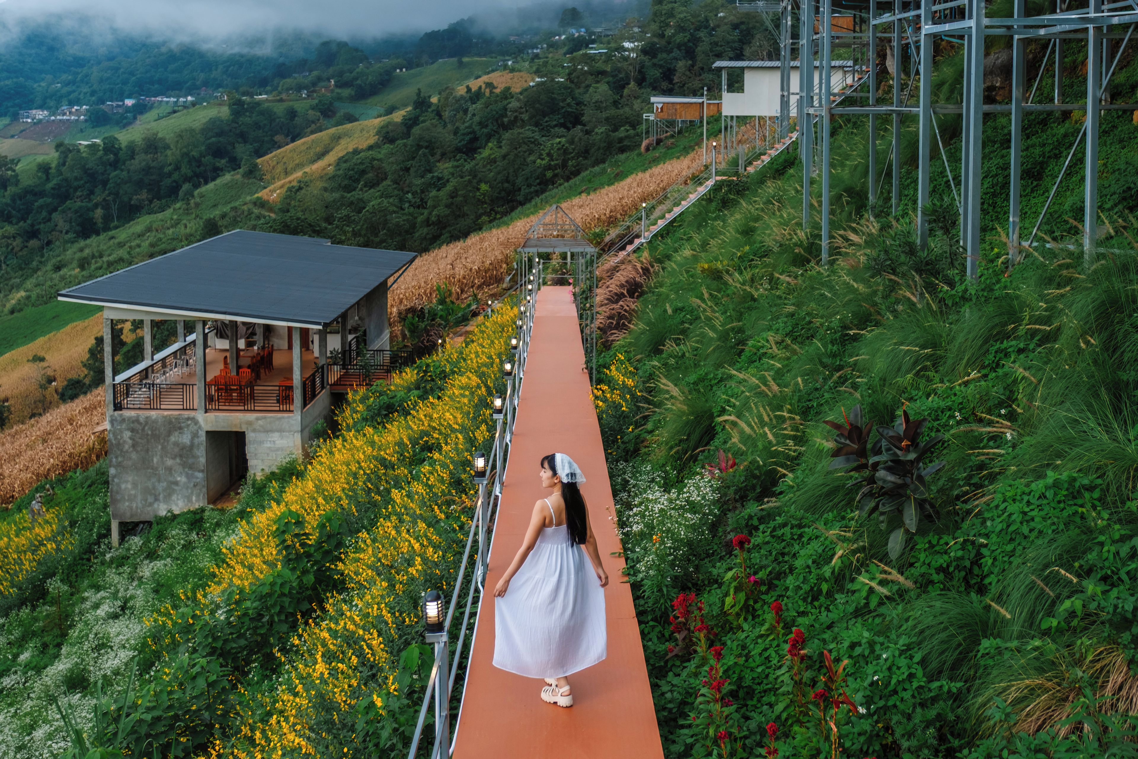 A pathway leading to a building with a covered seating area, surrounded by lush greenery and flowering plants.