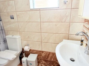 Shower, hair dryer, towels, shampoo