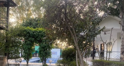 Green View Resort By GRB