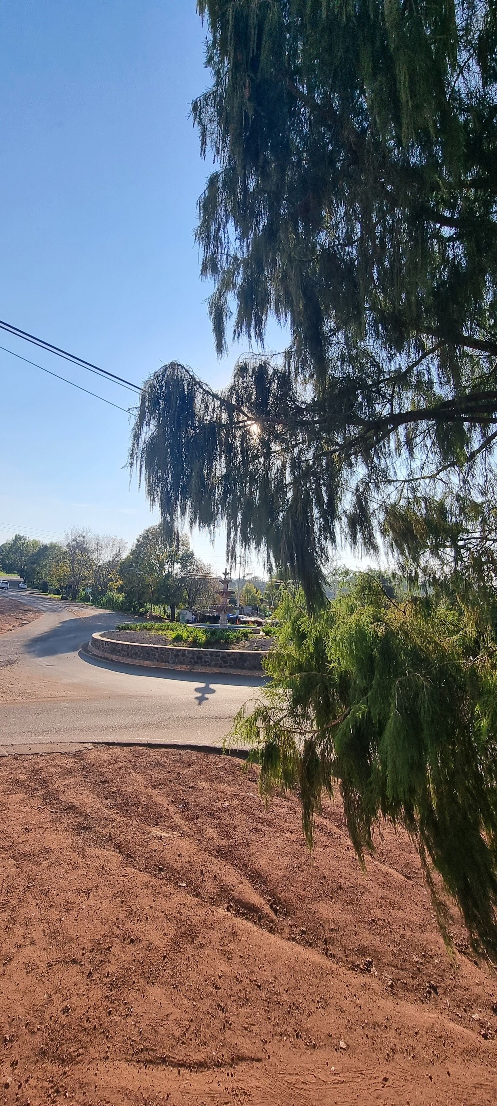 Una strada sterrata che curva verso destra, circondata da alberi e un muro di pietra.