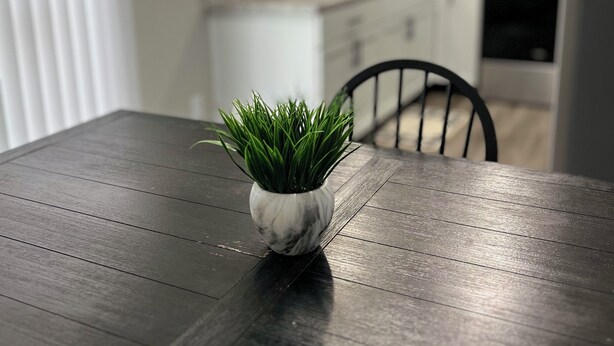 A dining table with a potted plant in the center.