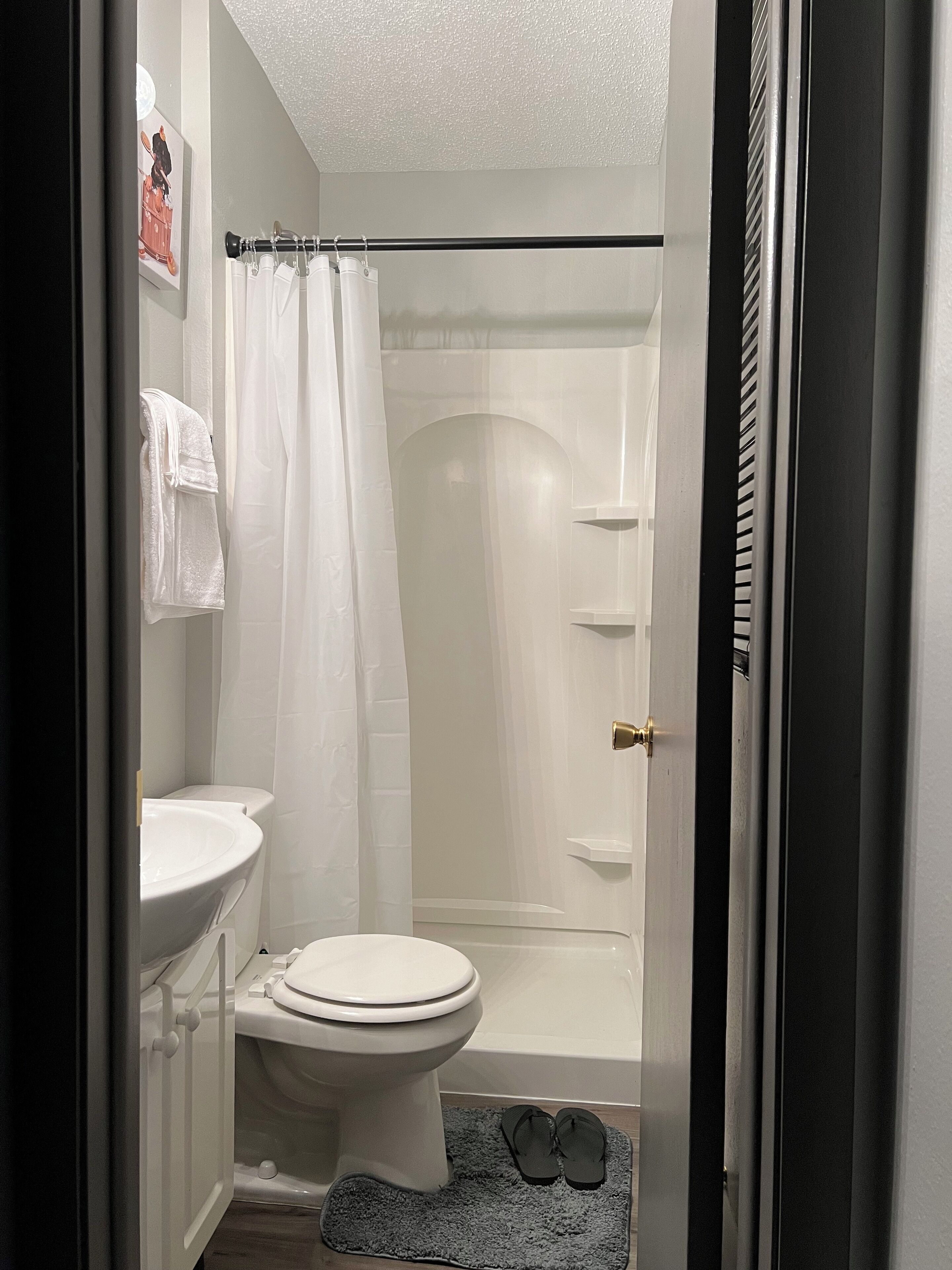 Hair dryer, towels, soap, shampoo