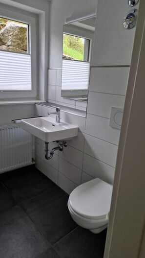Shower, towels - Apartment 'Single Fewo Gscheiter Beck' with Shared Terrace, Private Garden and Wi-Fi (Feldberg (Schwarzwald))