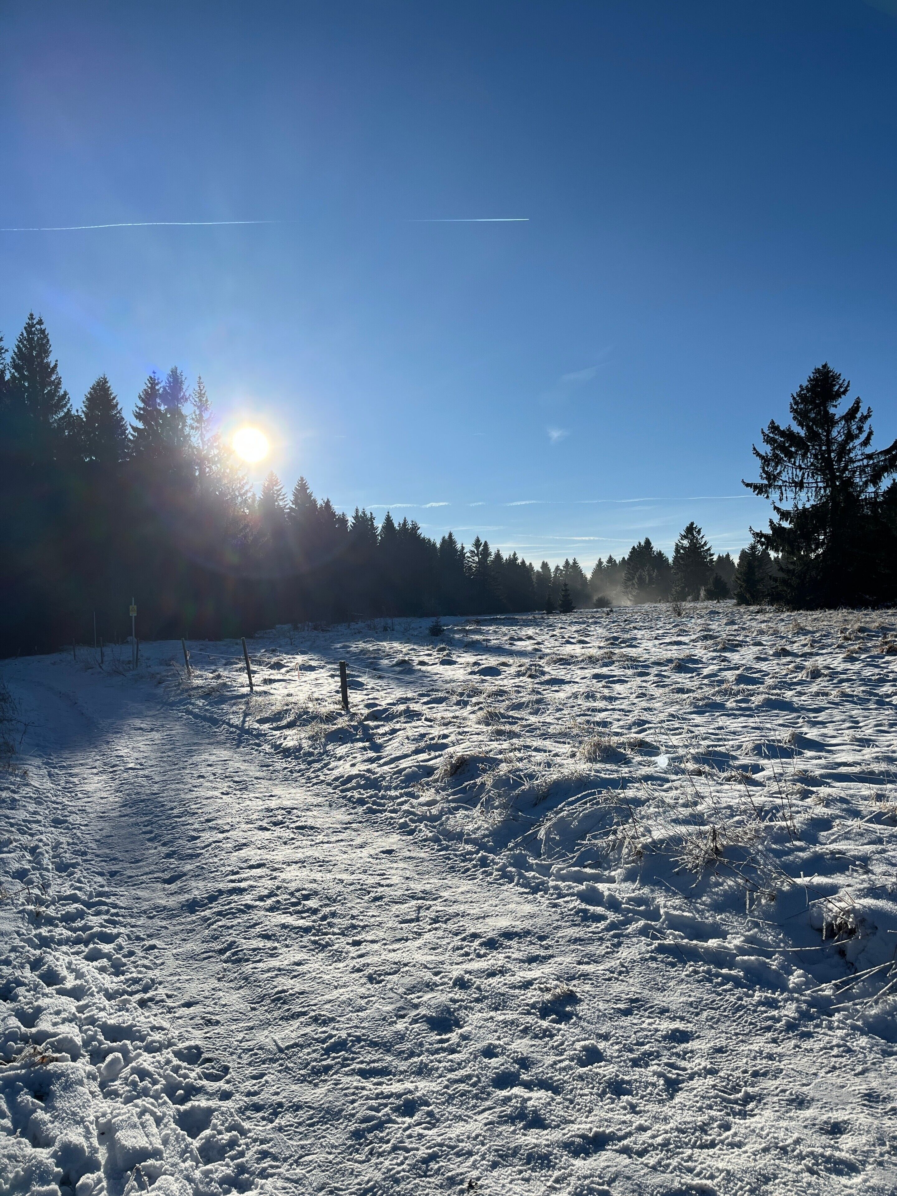A snow-covered field with a clear sky and sunlight.