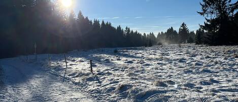A snow-covered field with a clear sky and sunlight.