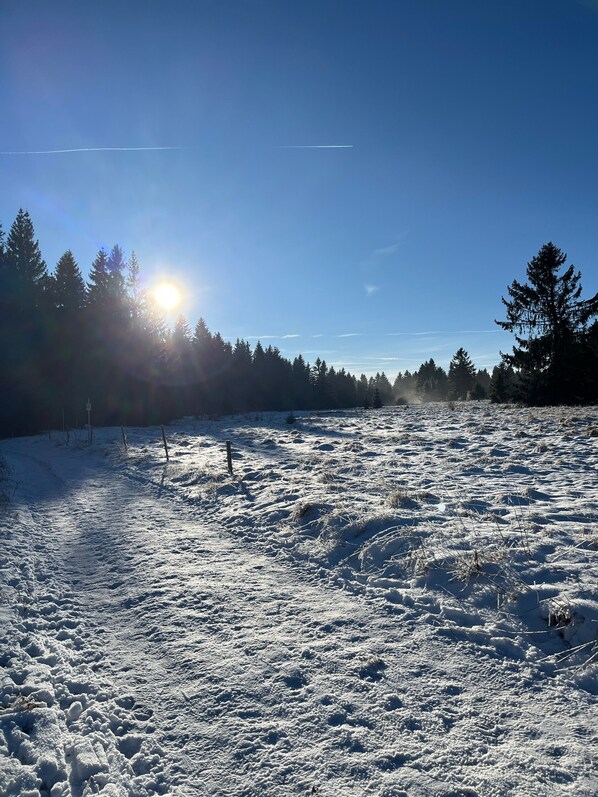 Um campo coberto de neve sob um céu claro e com luz solar.