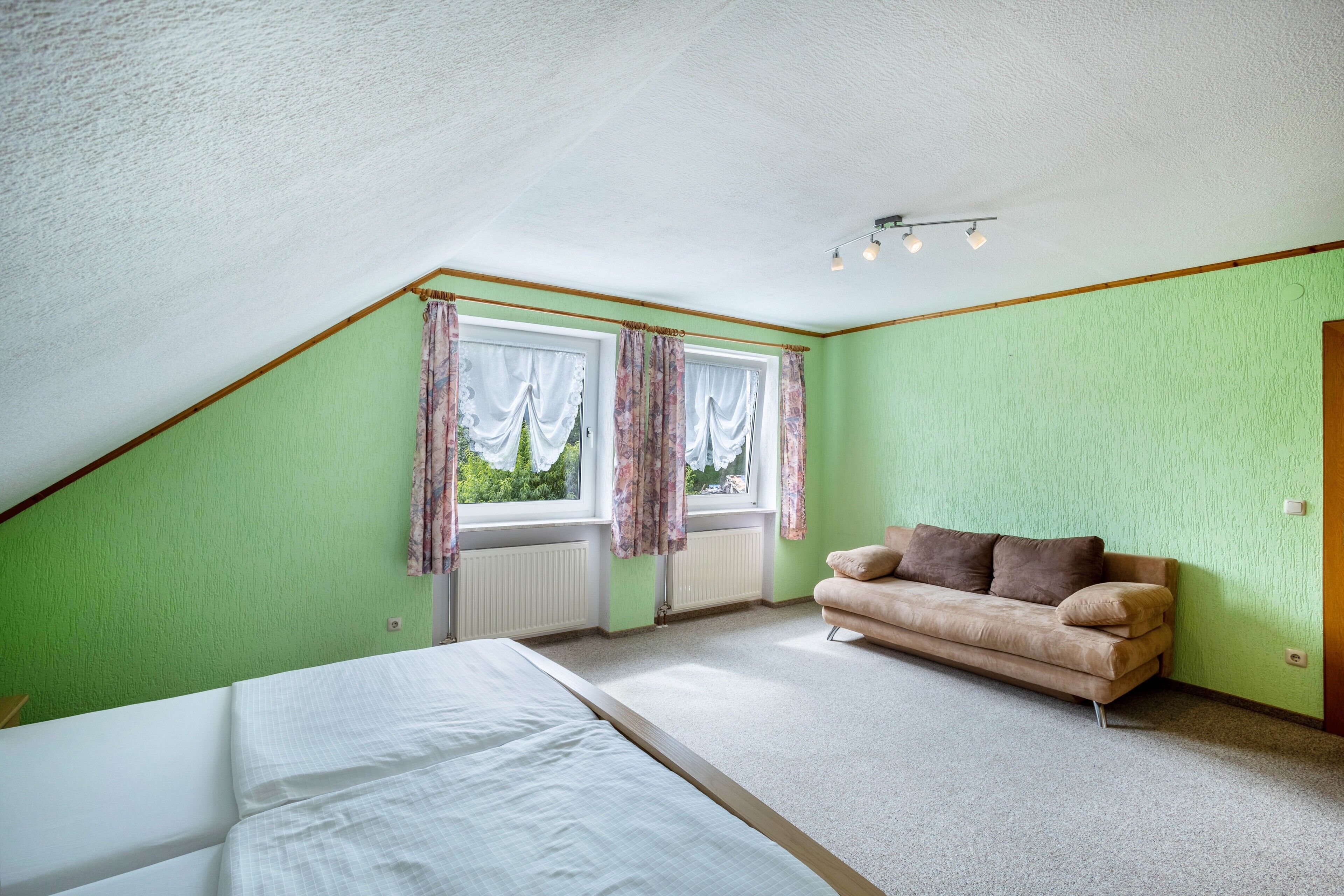 Ein Zimmer mit einem Bett, einem Schlafsofa, zwei Fenstern mit Vorhängen, einem Heizkörper und einer Deckenleuchte.