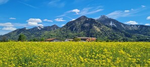 Uklassifisert bilde, 3 av 34, knapp