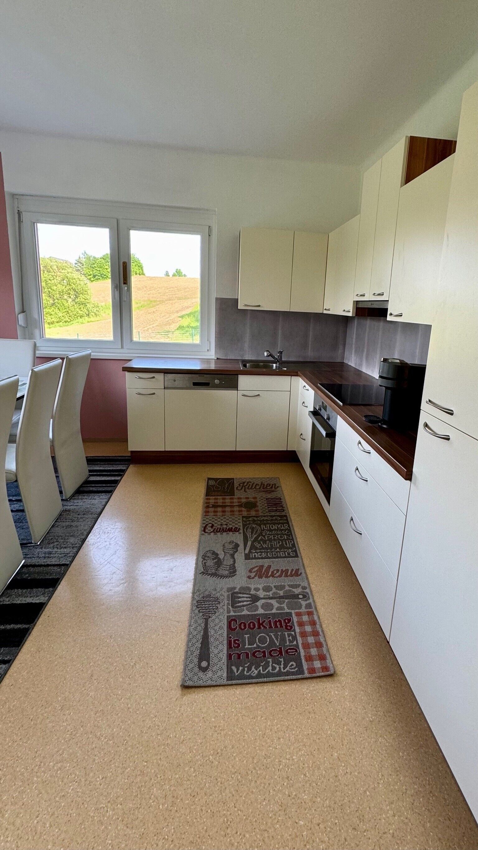 Kühlschrank, Ofen, Herdplatte, Geschirrspüler