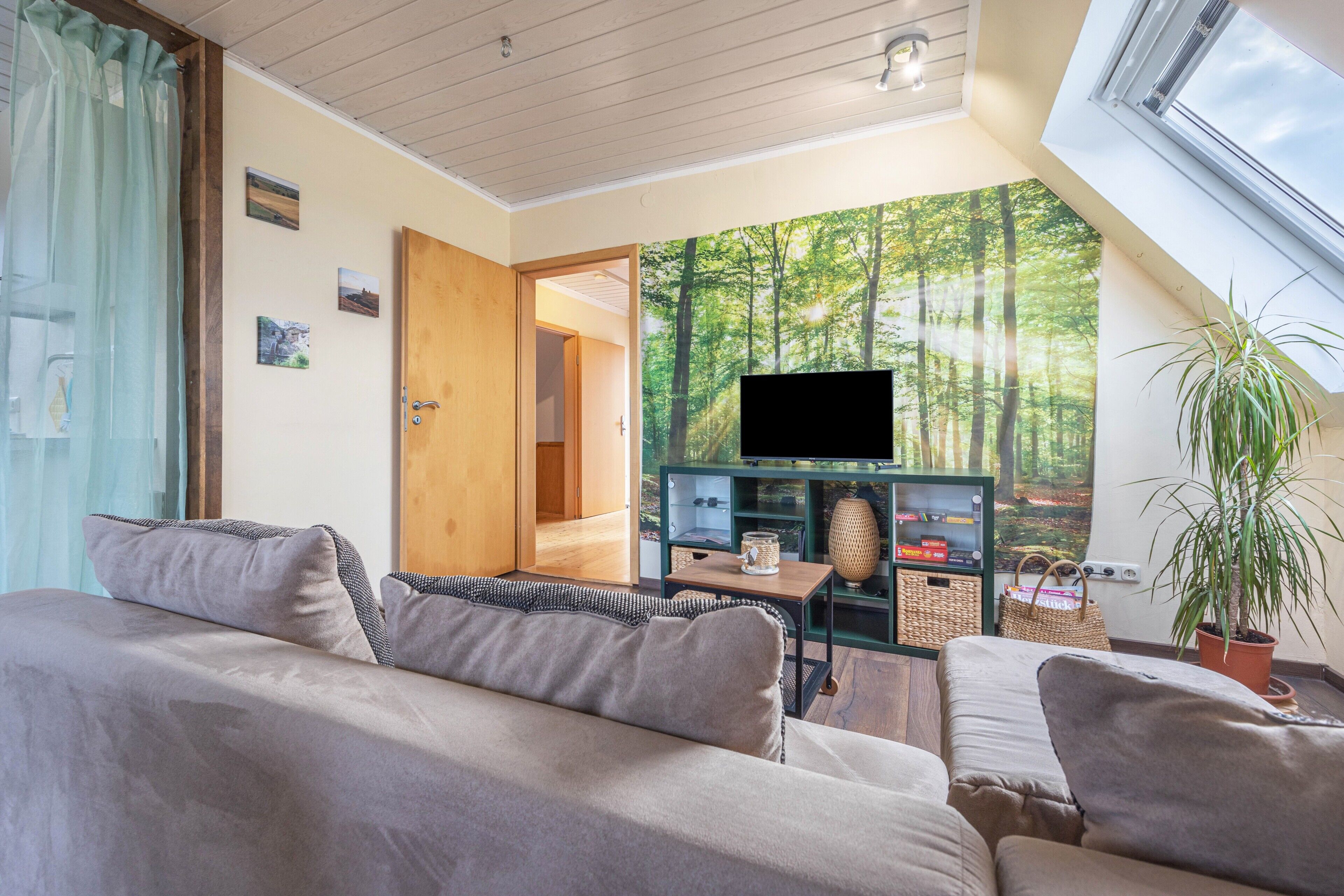 A modern living room with a sofa, a television, a plant, and a bookshelf.