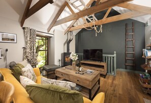 Smart TV, lareira, livros, aparelho de som