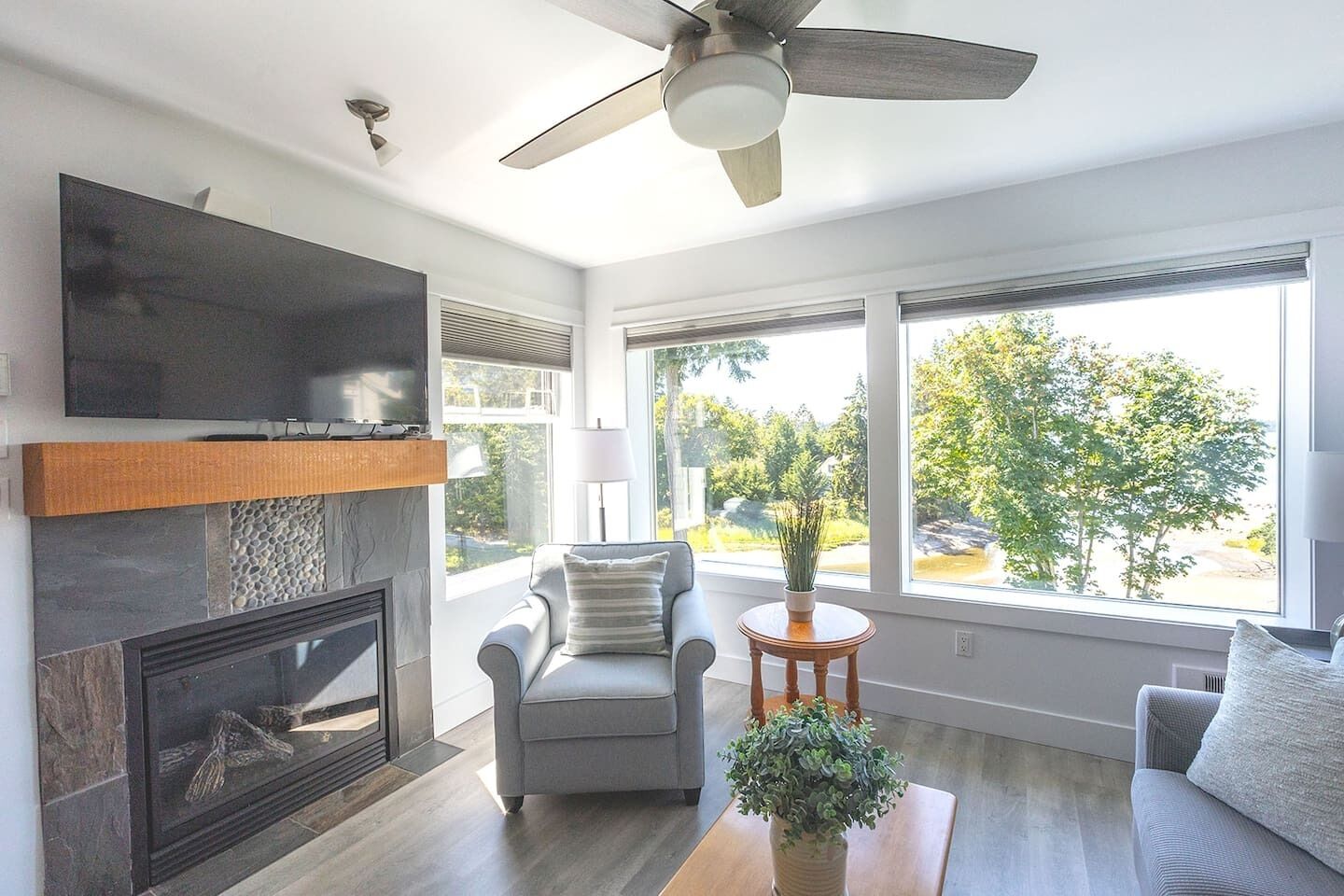 TV, fireplace