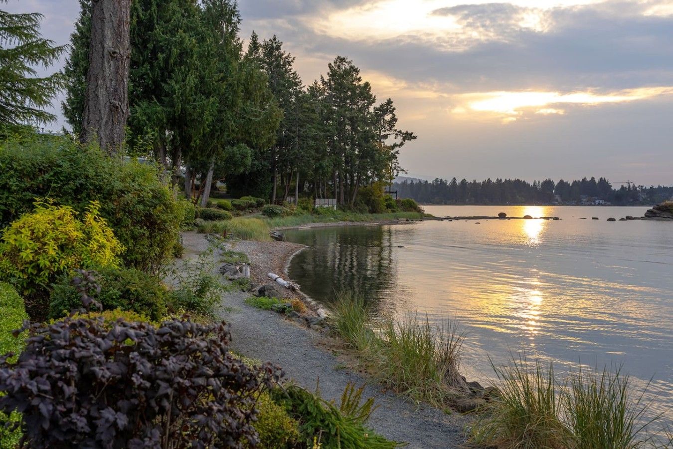 Une vue sur le lac, avec des arbres, un sentier de gravier et une étendue d’eau calme qui reflète le ciel.