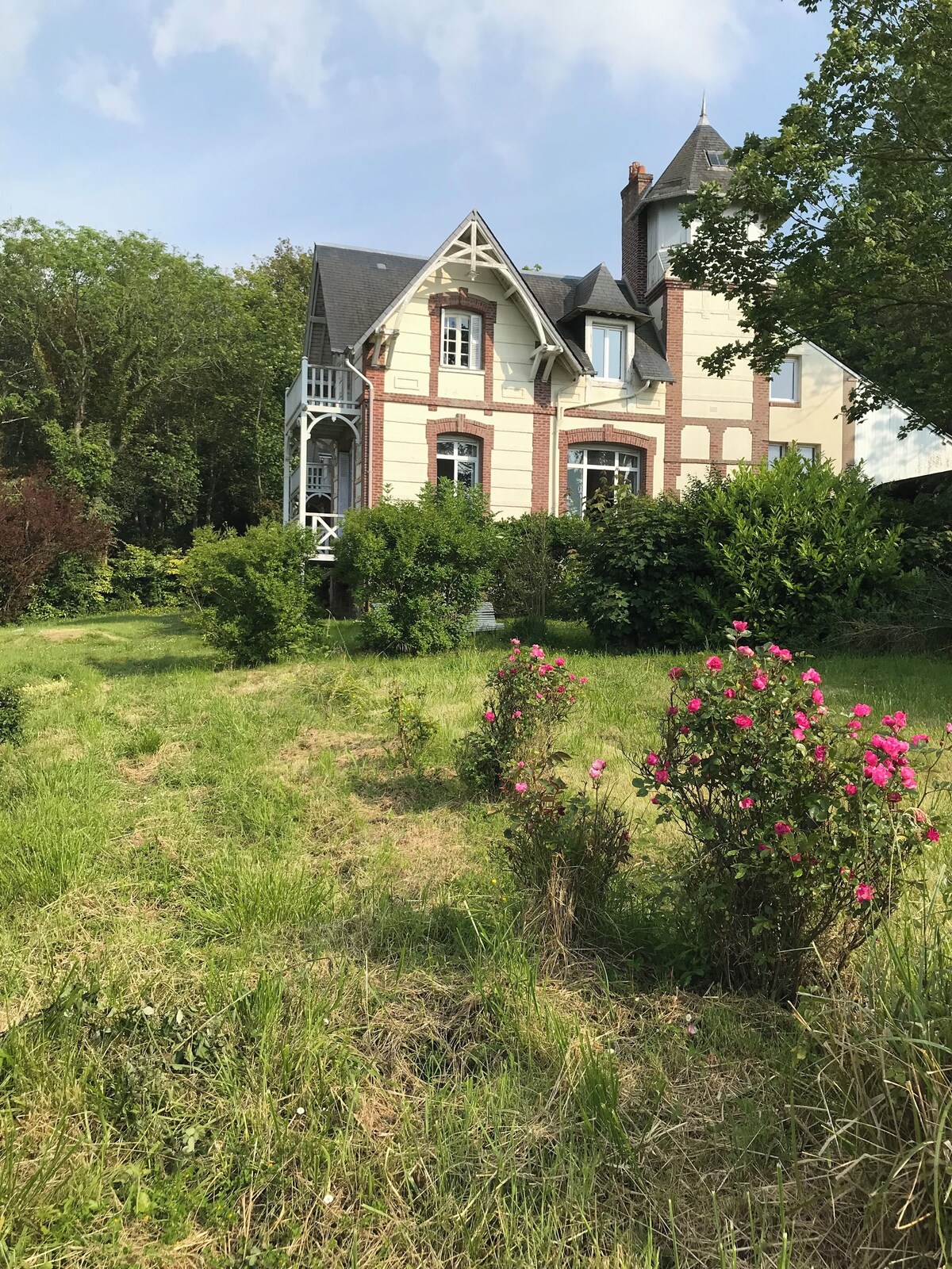 Imagen de perfil del propietario o de la propietaria