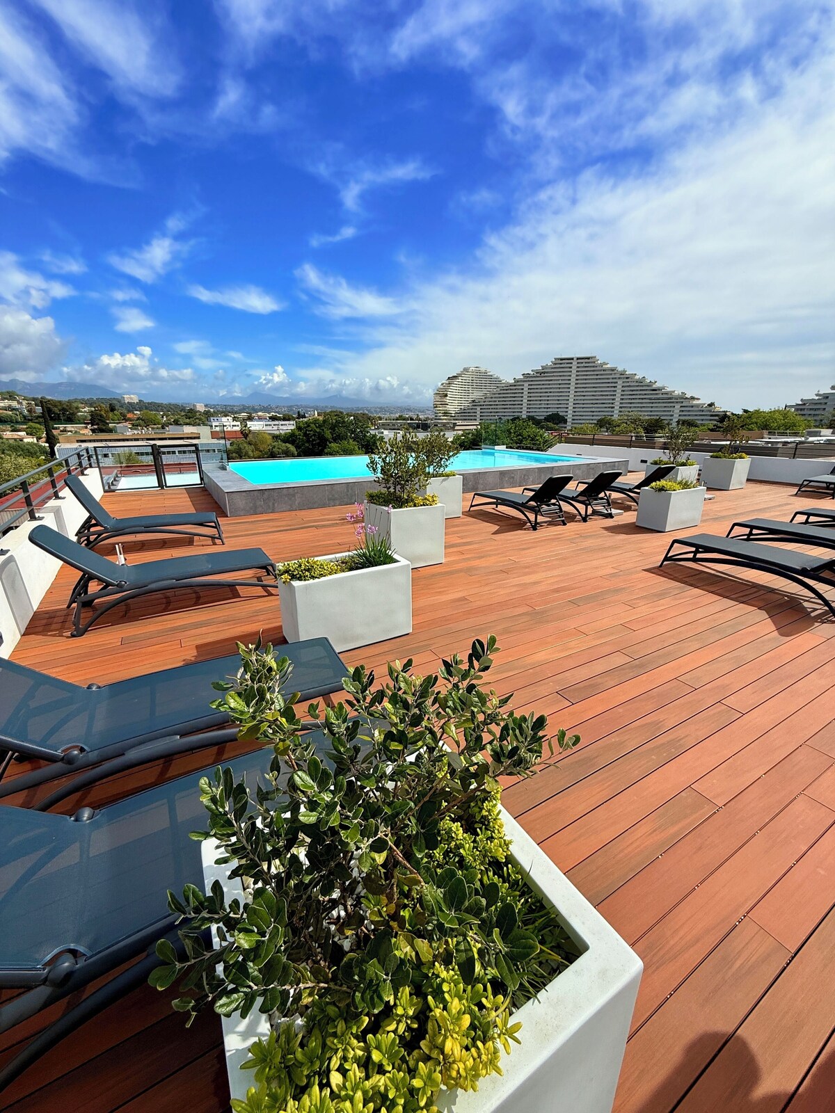 Imagen de perfil del propietario o de la propietaria