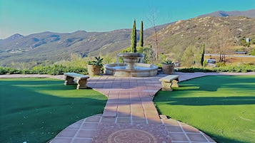 Stroll through the serene garden, surrounded by lush greenery and a soothing fountain.
