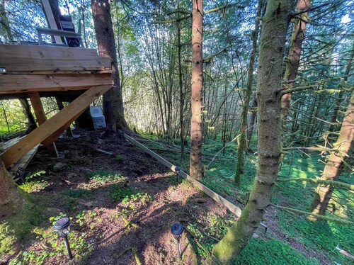 Magical Forest Dome Getaway
