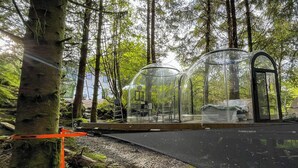 A forested area with transparent domes, possibly for observation or relaxation, surrounded by trees and a clear sky. - Magical Forest Dome Getaway (Vestland)