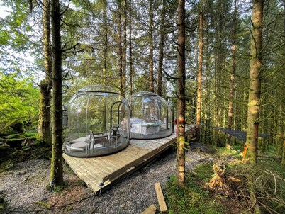 Magical Forest Dome Getaway
