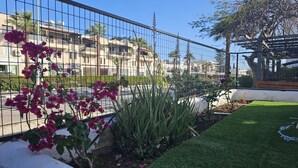A garden area with a metal fence, aloe plants, and pink flowers.