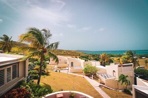 A residential area with a view of the ocean, palm trees, and a clear sky.