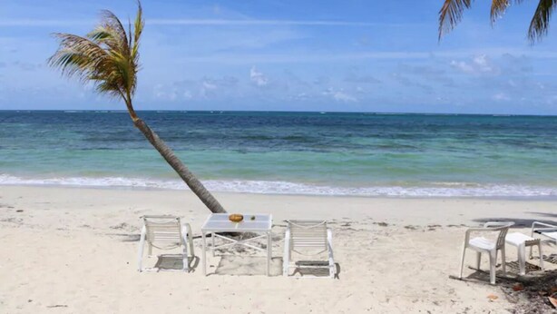 Una playa con sillas reclinables blancas, una mesa, palmeras y océano azul cristalino.