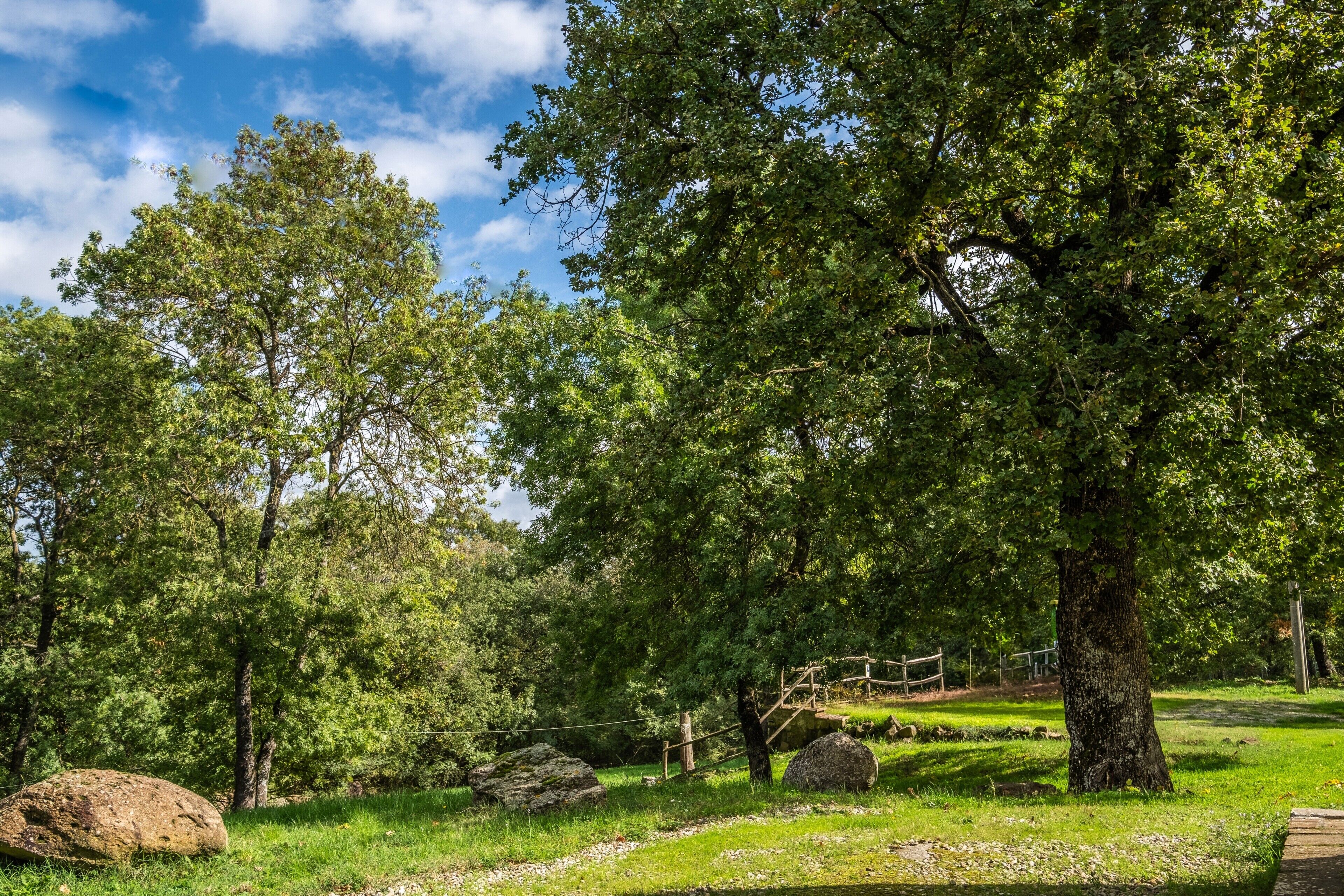 A natural landscape with trees, rocks, and a wooden bridge.
