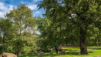A natural landscape with trees, rocks, and a wooden bridge.
