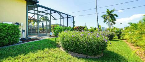 Maison (3 Bedrooms) | Intérieur