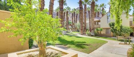 A courtyard with palm trees, a small tree, and a concrete pathway.