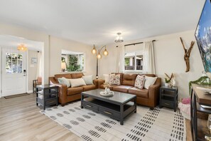 Smart TV, fireplace, books