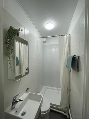 Hair dryer, towels, toilet paper - Studio le petit fleury (Fontenay-le-Fleury)
