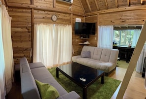 Fernseher